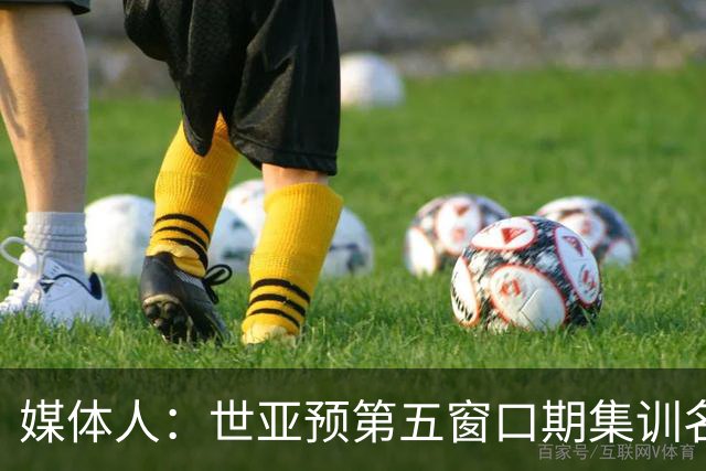 媒体人：世亚预第五窗口期集训名单已定，祝福他们